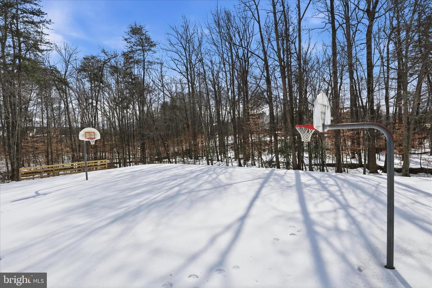 44 Catherine Lane photo 39
