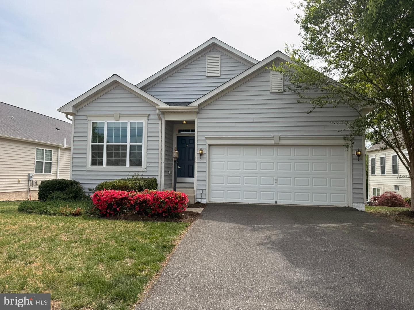 16 Dabney Court photo 1