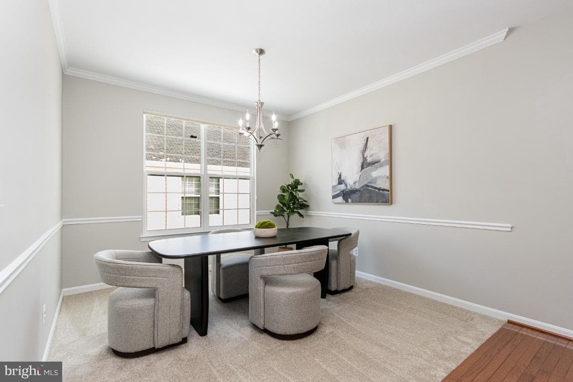 16 Dabney Court photo 4
