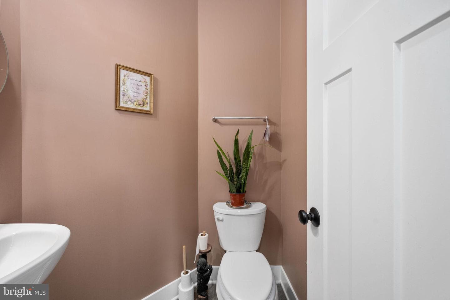 14 Carol Street photo 12