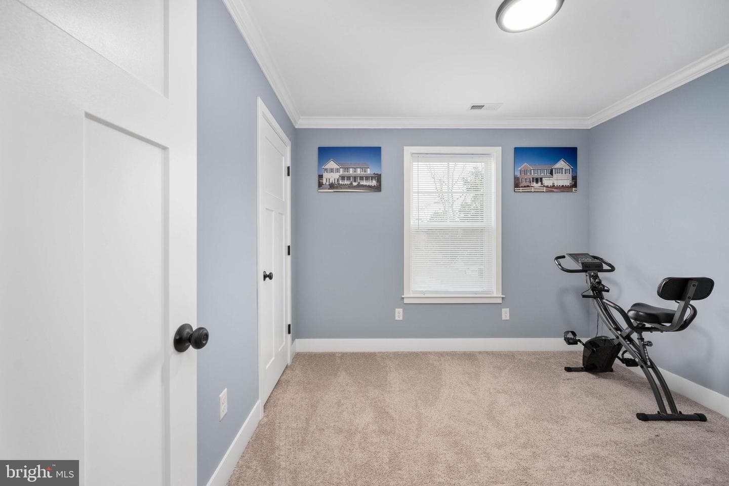 14 Carol Street photo 26
