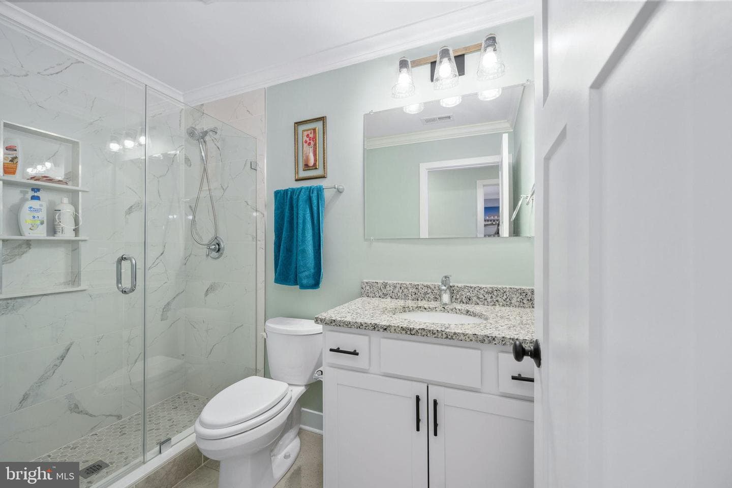 14 Carol Street photo 28
