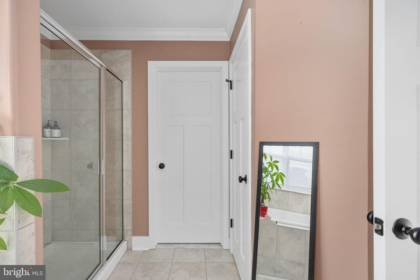 14 Carol Street photo 34