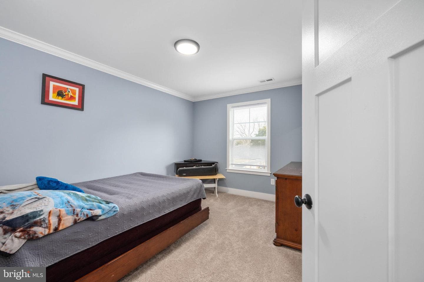 14 Carol Street photo 35
