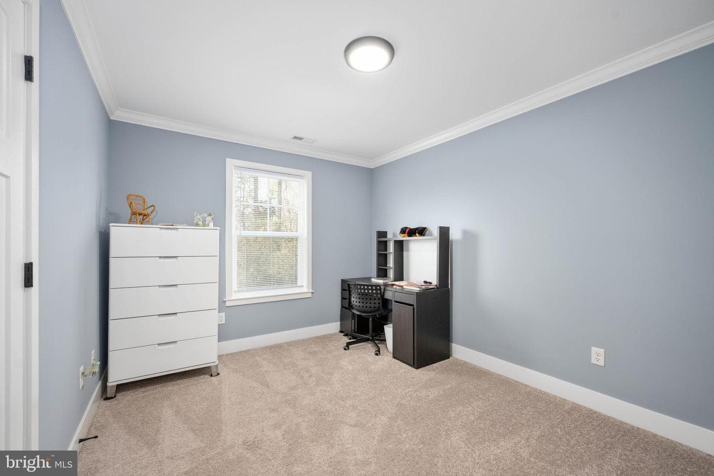 14 Carol Street photo 37
