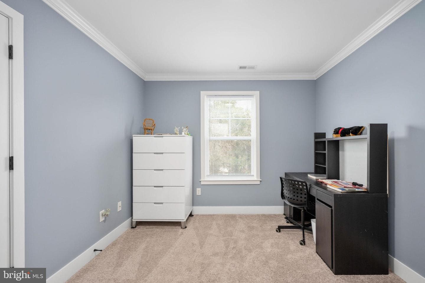 14 Carol Street photo 39