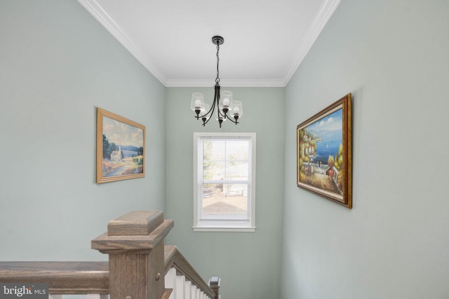 14 Carol Street photo 40