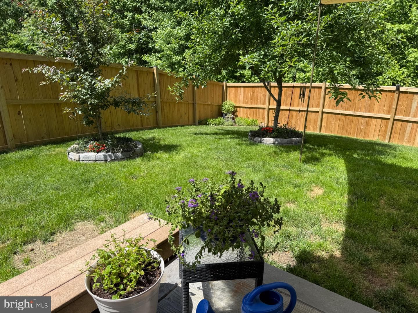 38 Taylors Hill Way photo 33