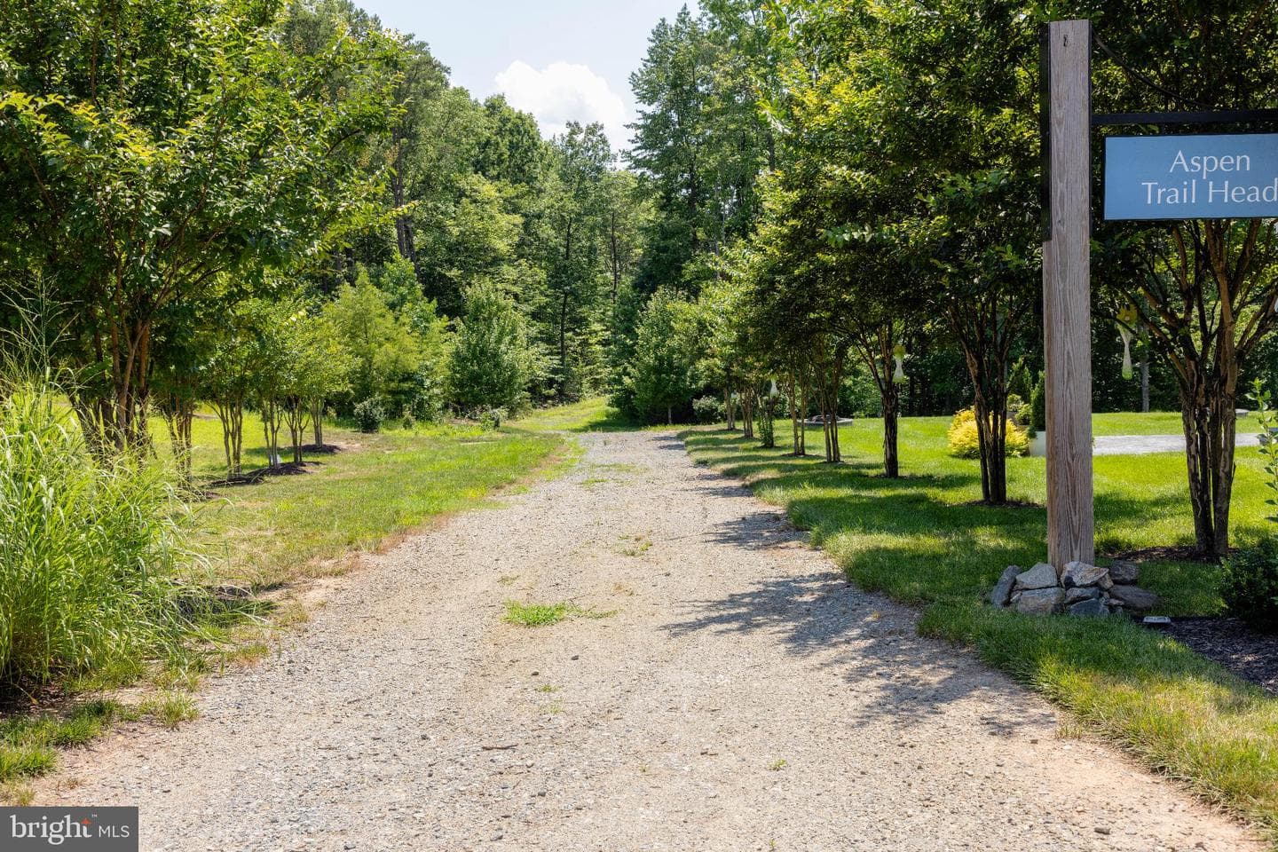 1034 Aspen Road photo 47