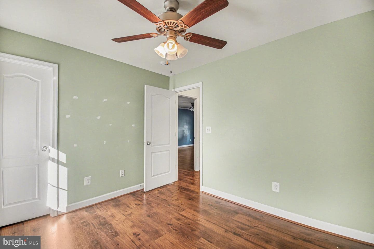 325 Phillips Street photo 16