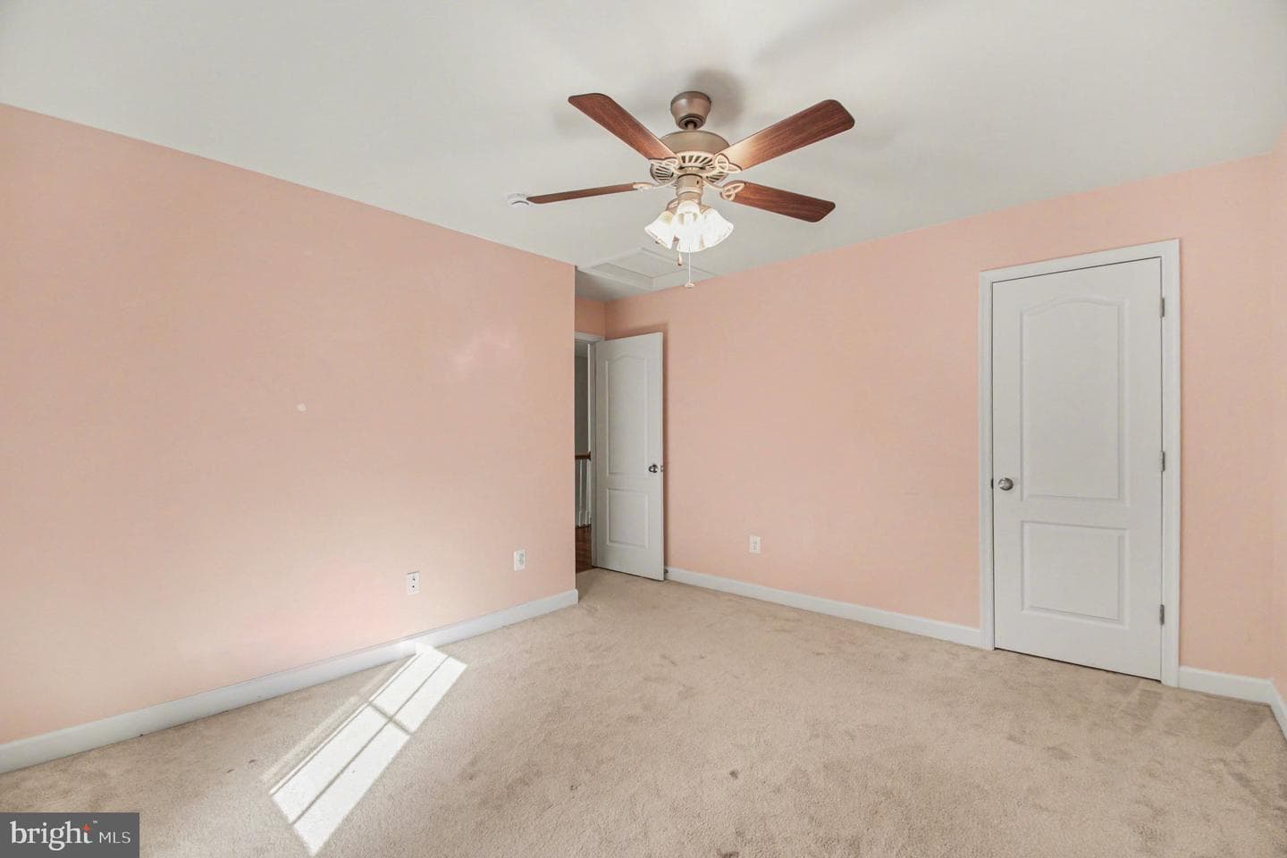 325 Phillips Street photo 18