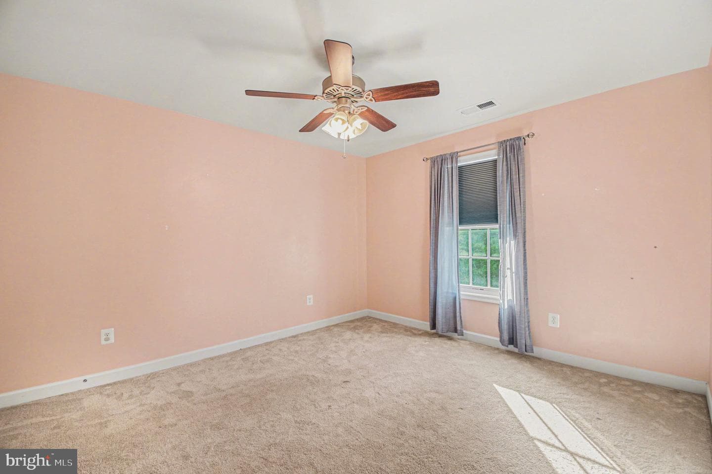 325 Phillips Street photo 19