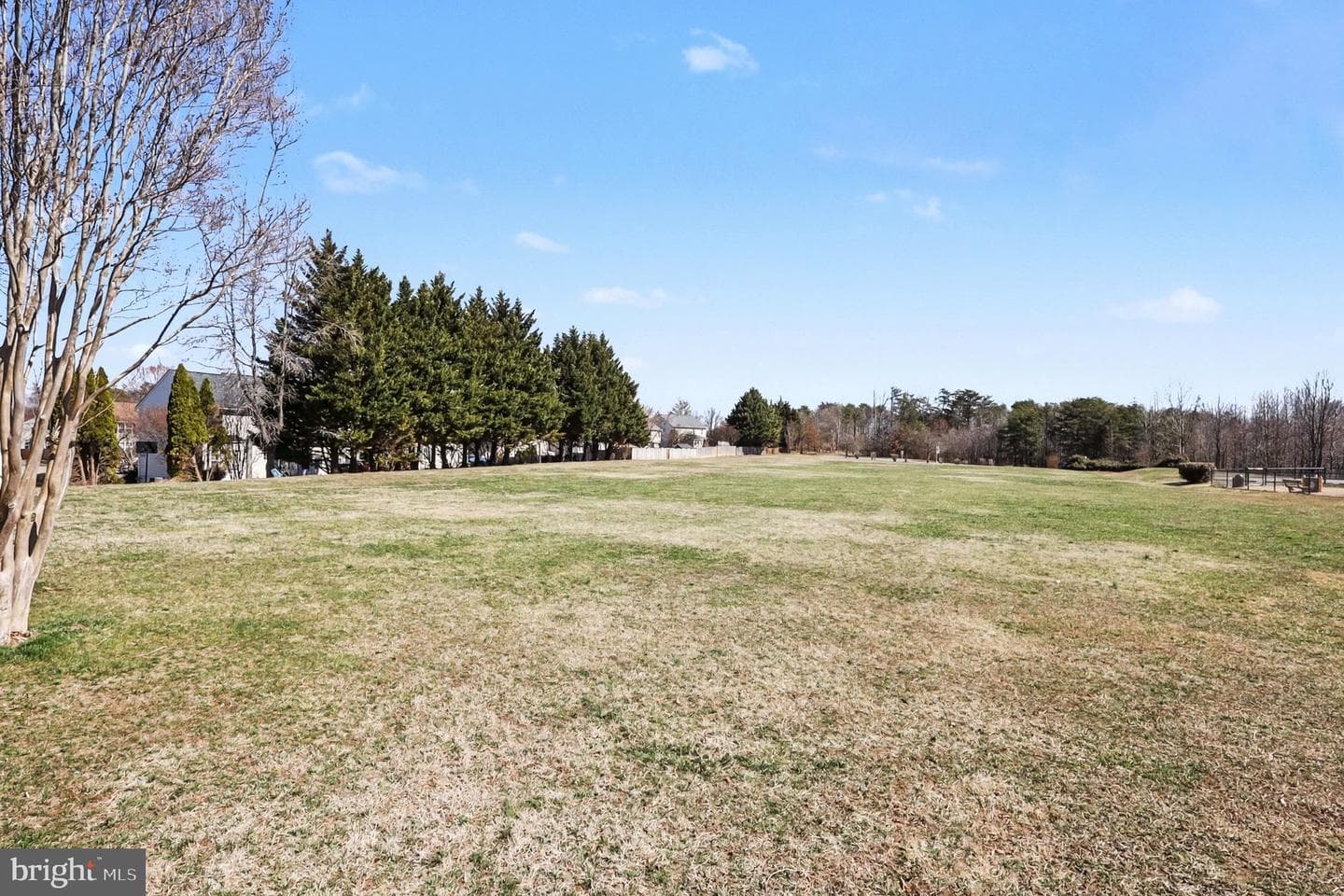 9 Burningbush Court photo 41