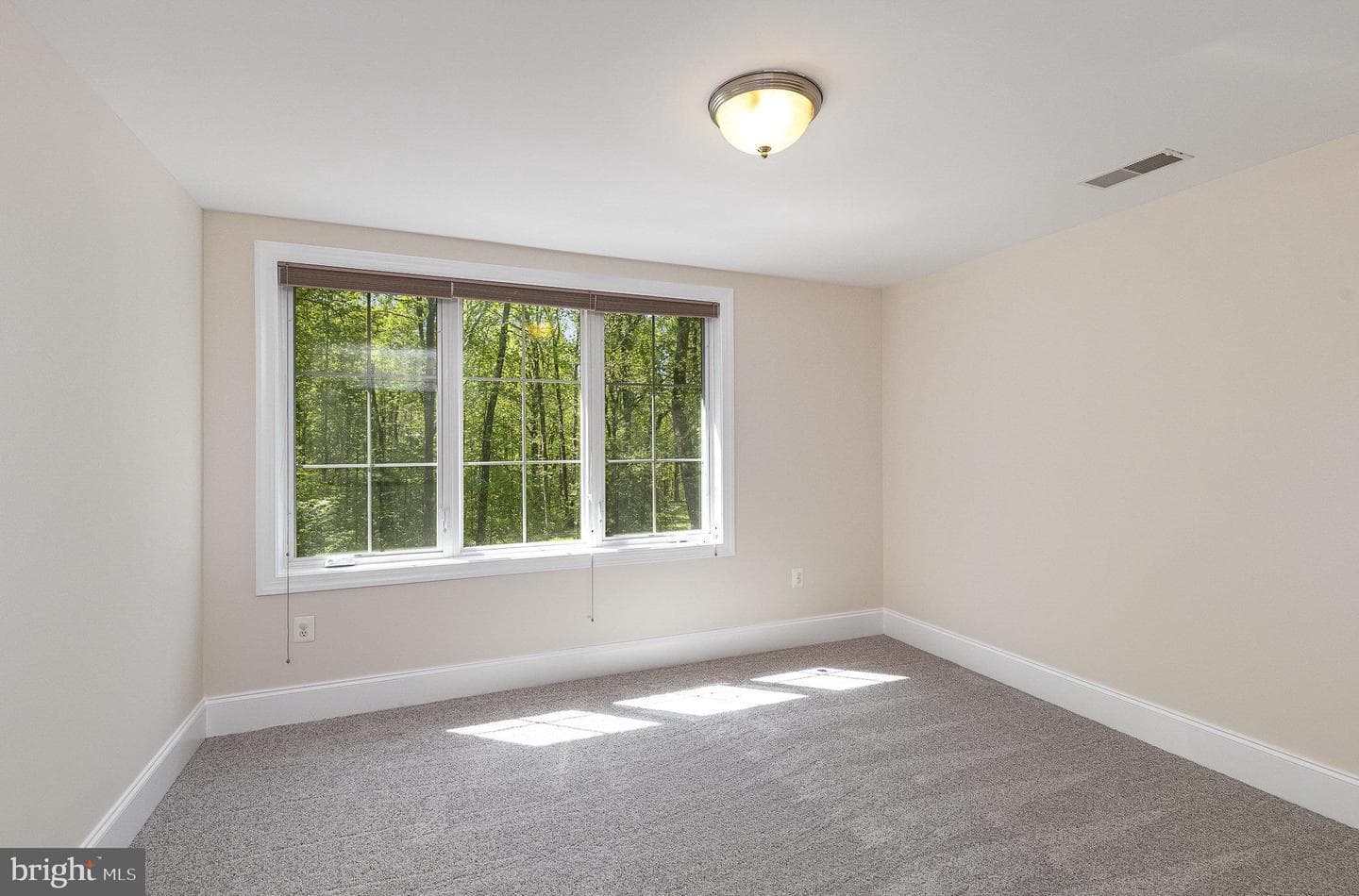 121 Marlborough Point Road photo 24
