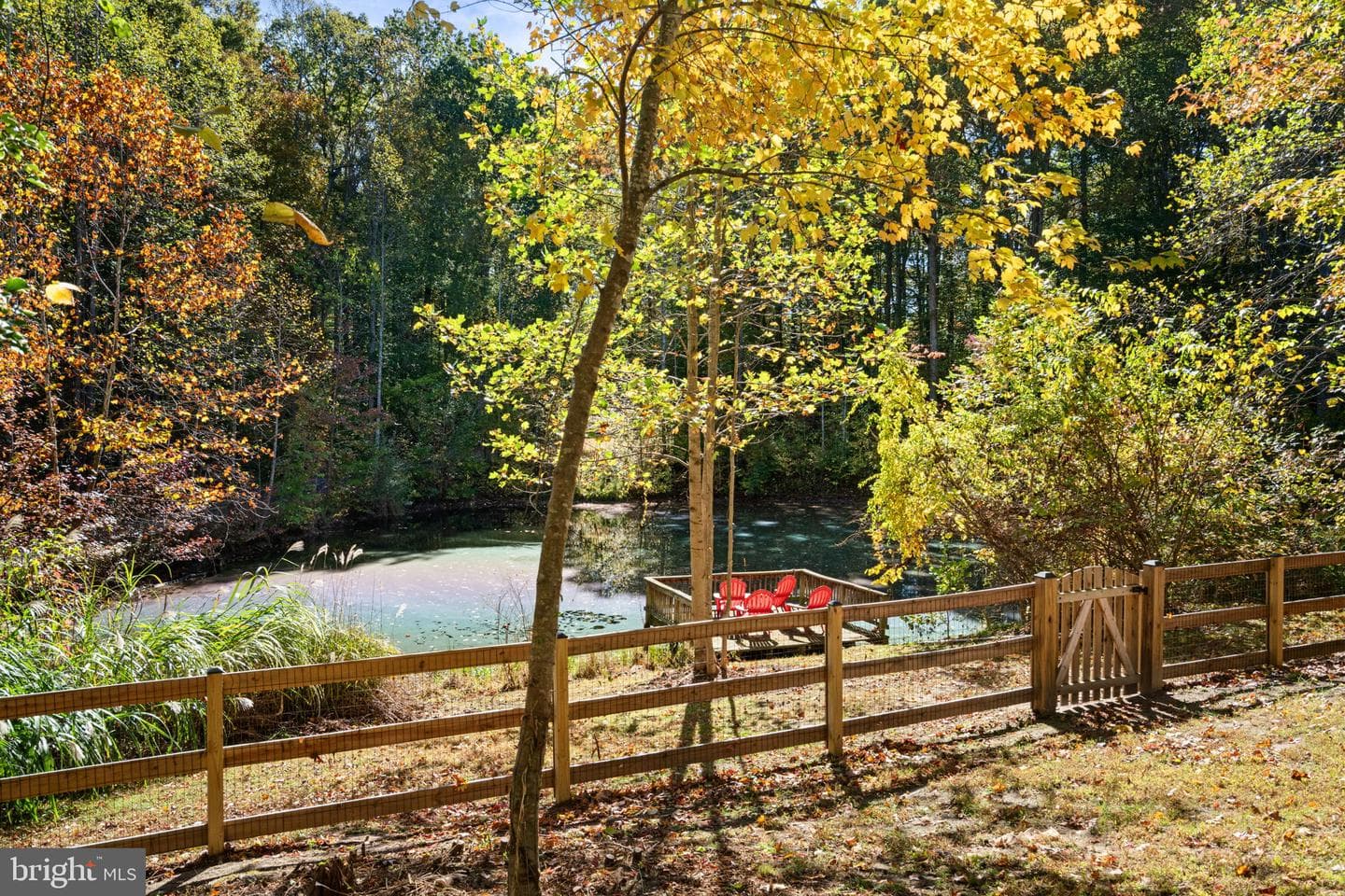 40 Stacy Lane photo 47