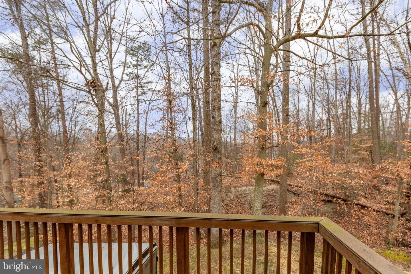 12 Bells Ridge Drive photo 55