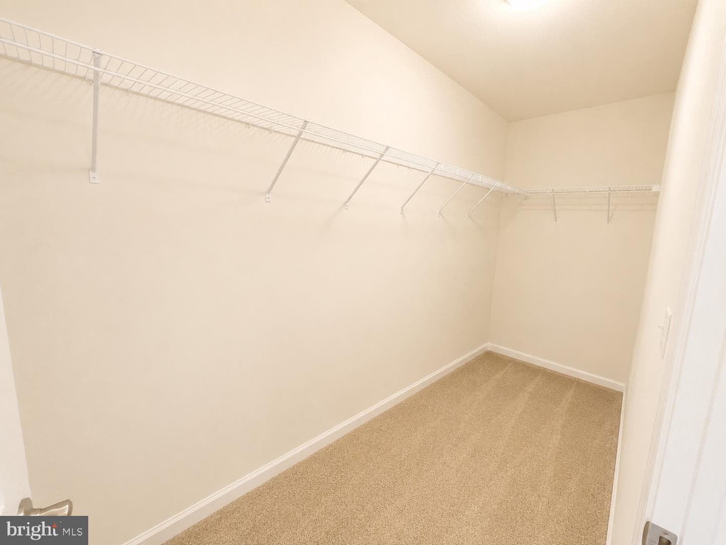 11 Braewood Drive photo 21