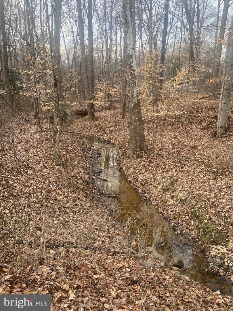 191 Winding Creek Road photo 4