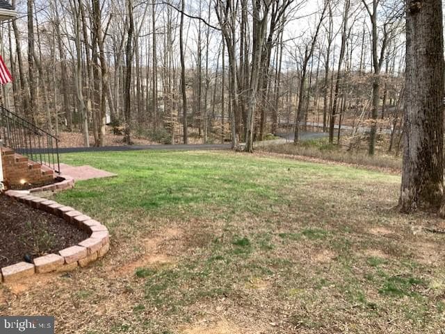 191 Winding Creek Road photo 5