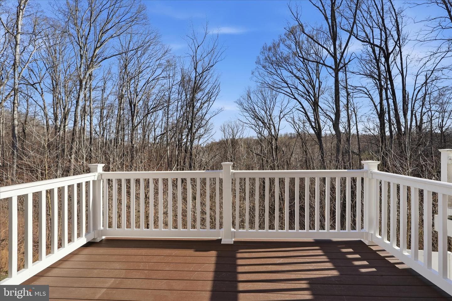 517 View Point Way photo 13