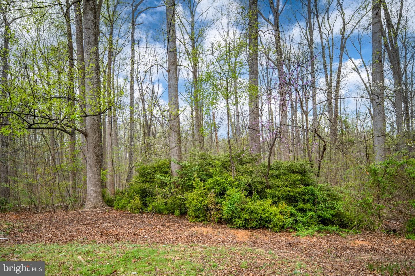 60 Richards Ferry Road photo 34
