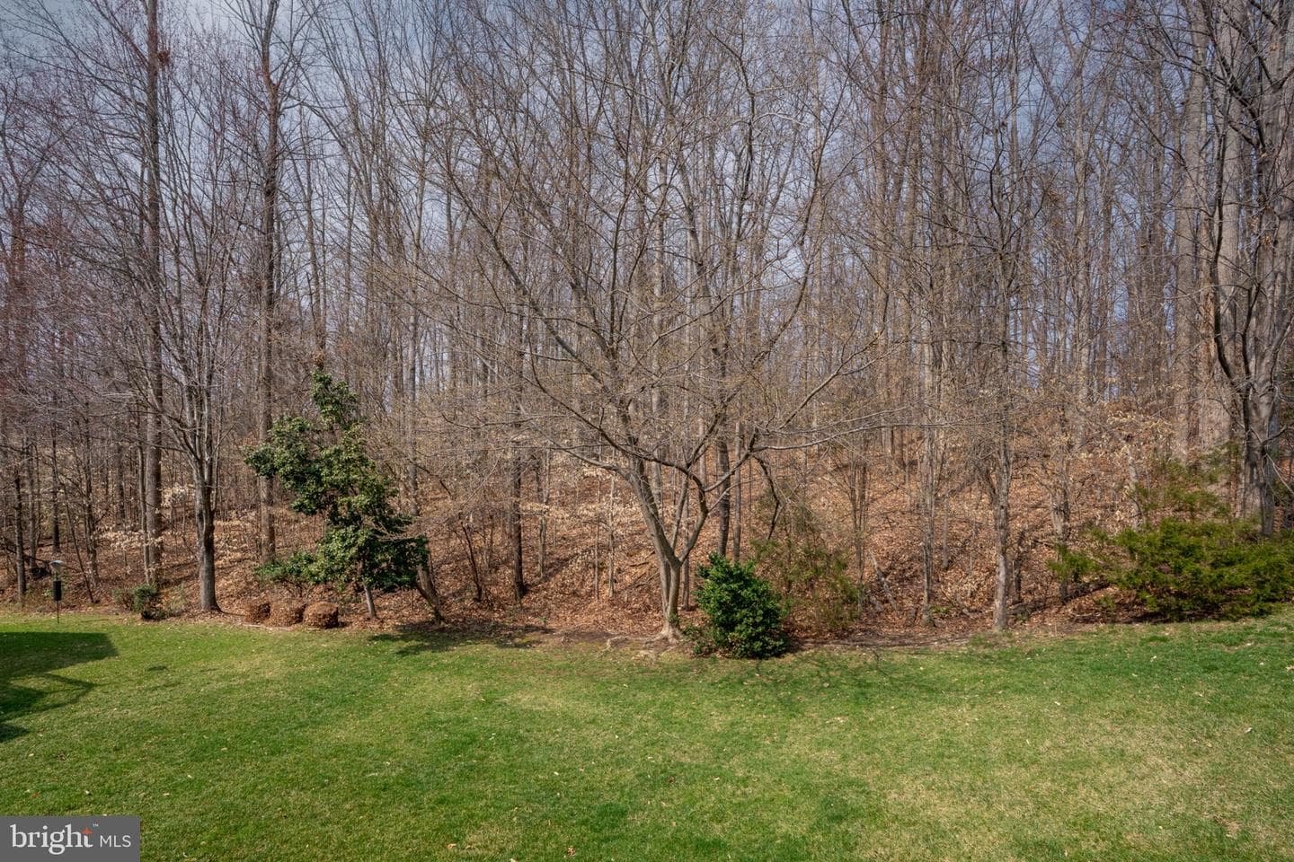 6 Dayton Circle photo 38