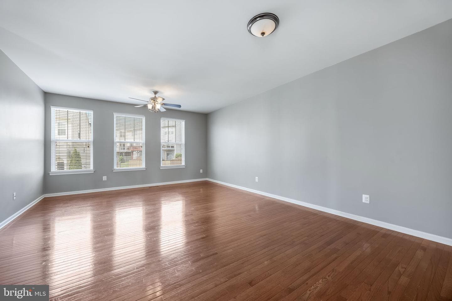 7 Coulter Lane photo 5
