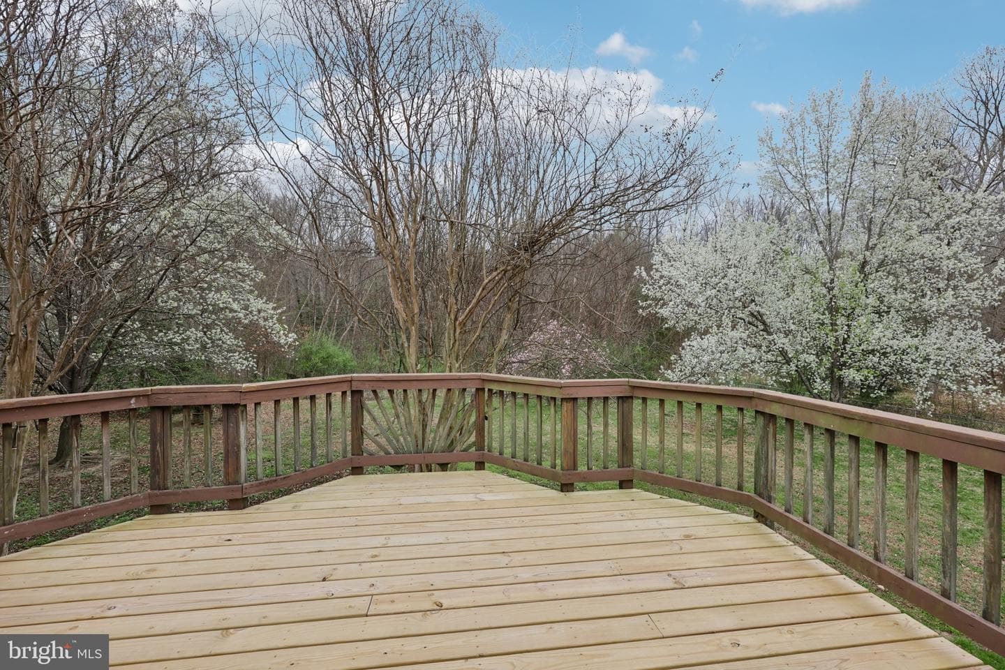 13 Howard Circle photo 39
