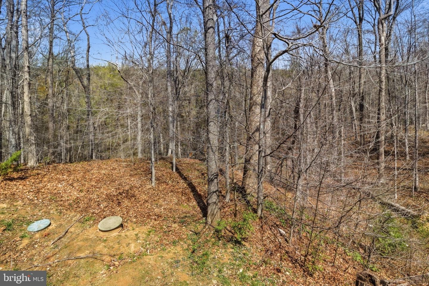 950 Grouse Pointe Drive photo 58
