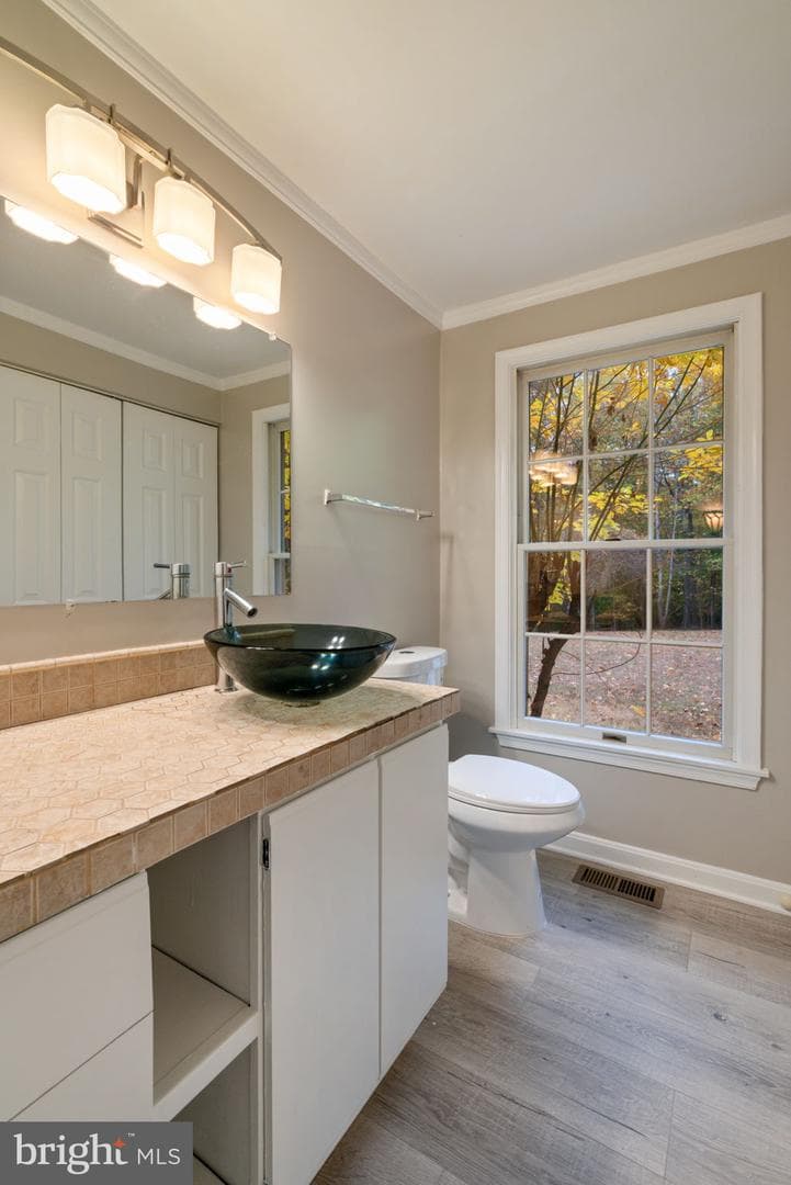 19 Windrush Court photo 27