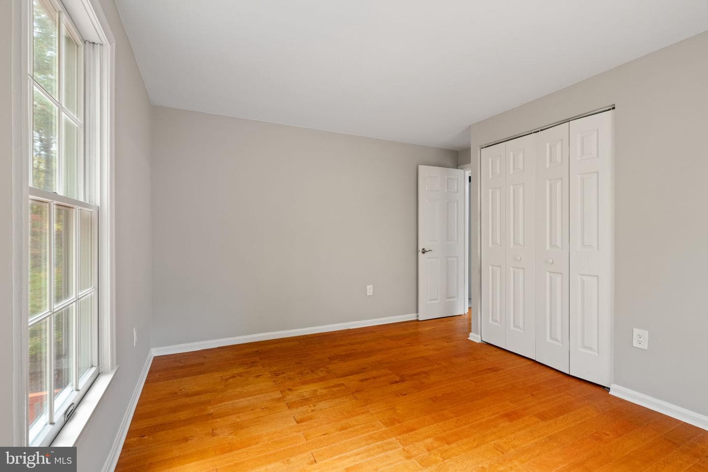 19 Windrush Court photo 38