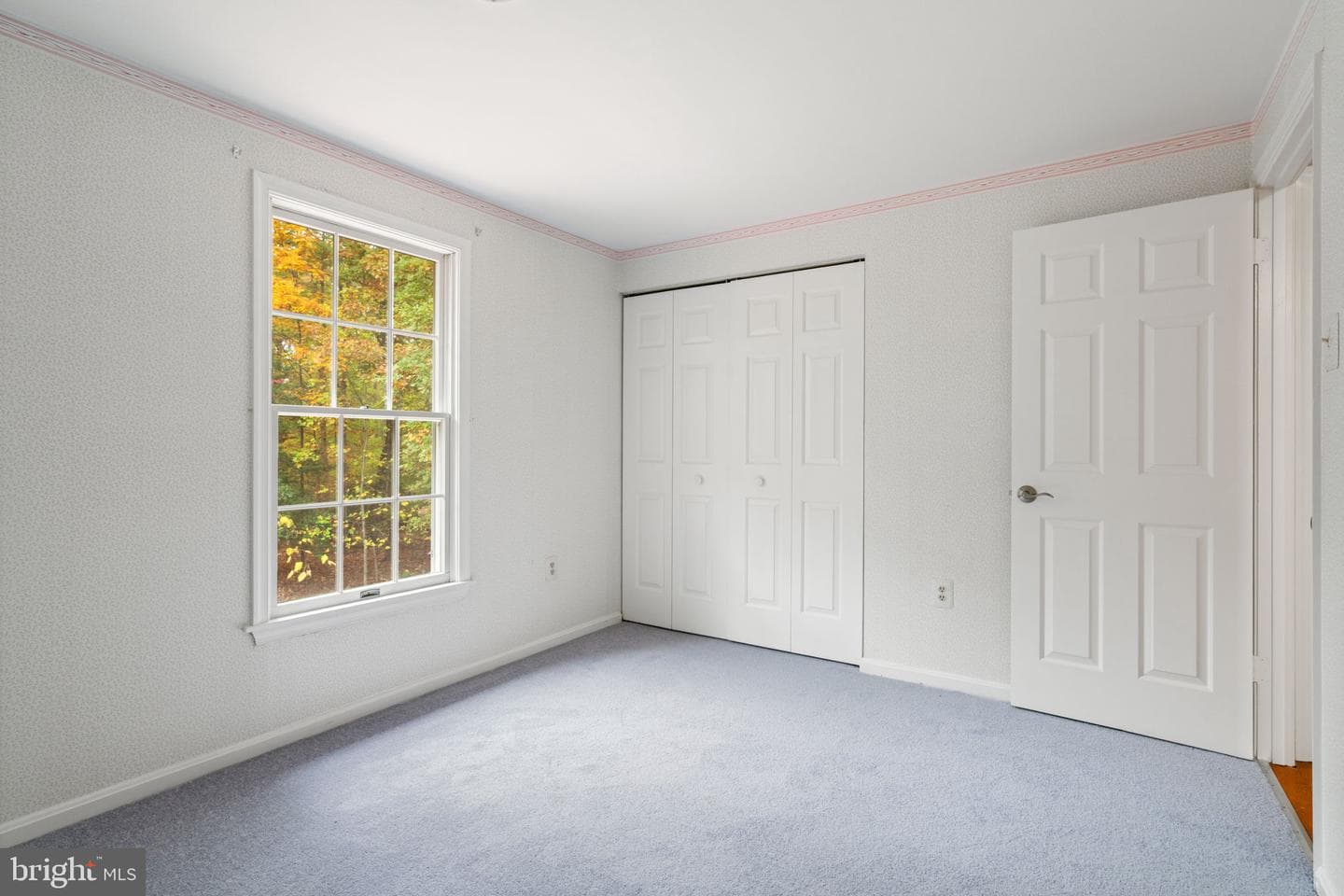 19 Windrush Court photo 42