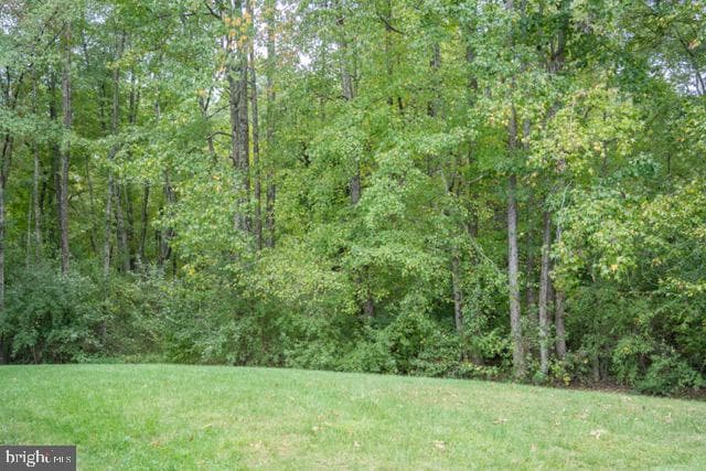 73 Village Grove Road photo 34