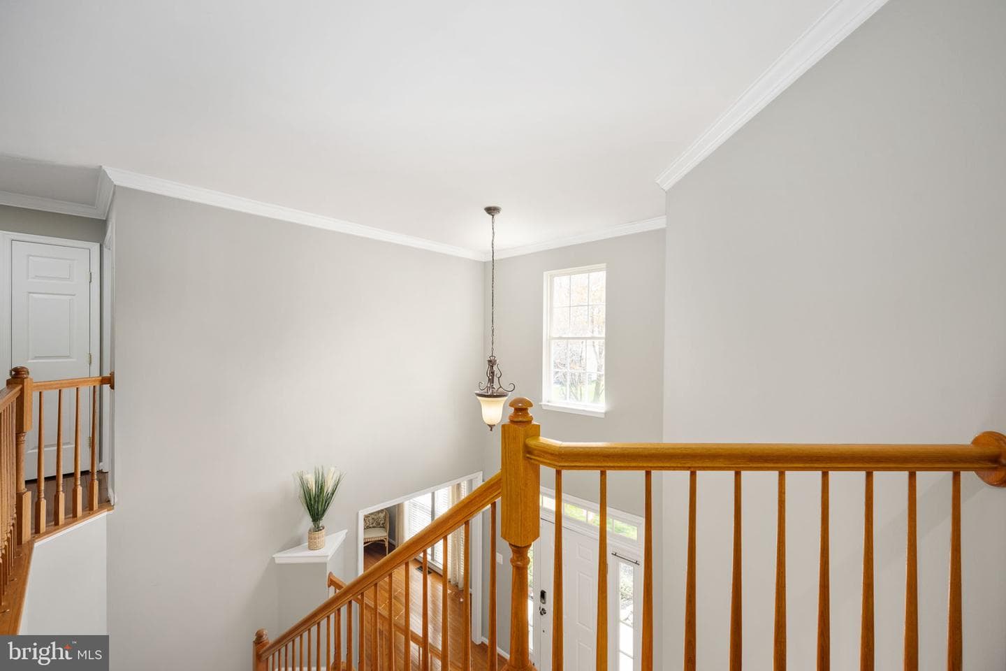 30 Nugent Drive photo 31