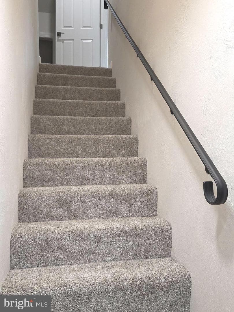 119 Marchant Drive photo 31