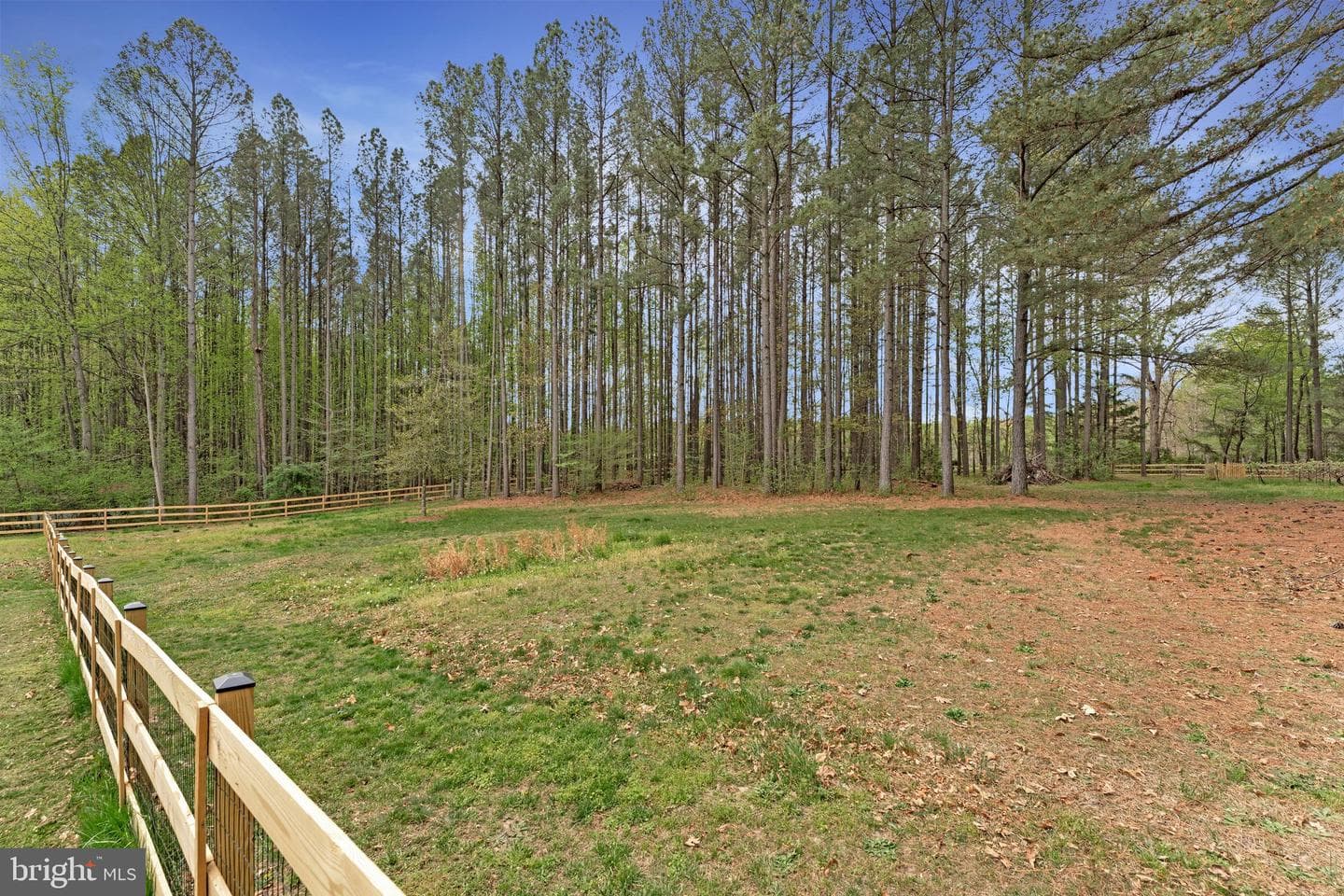 119 Marchant Drive photo 38