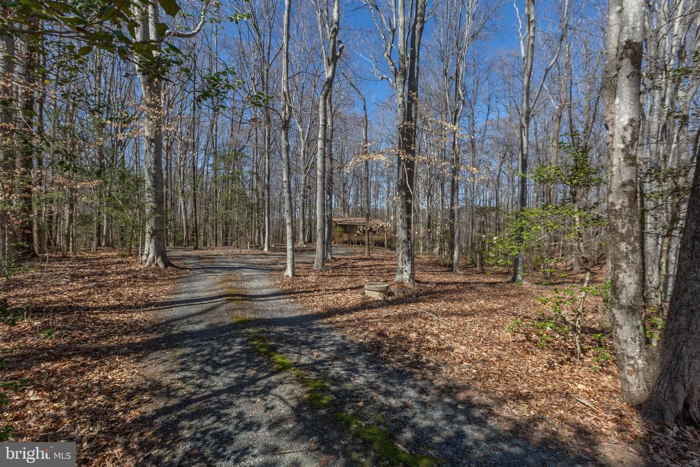 264 Holly Corner Road photo 12