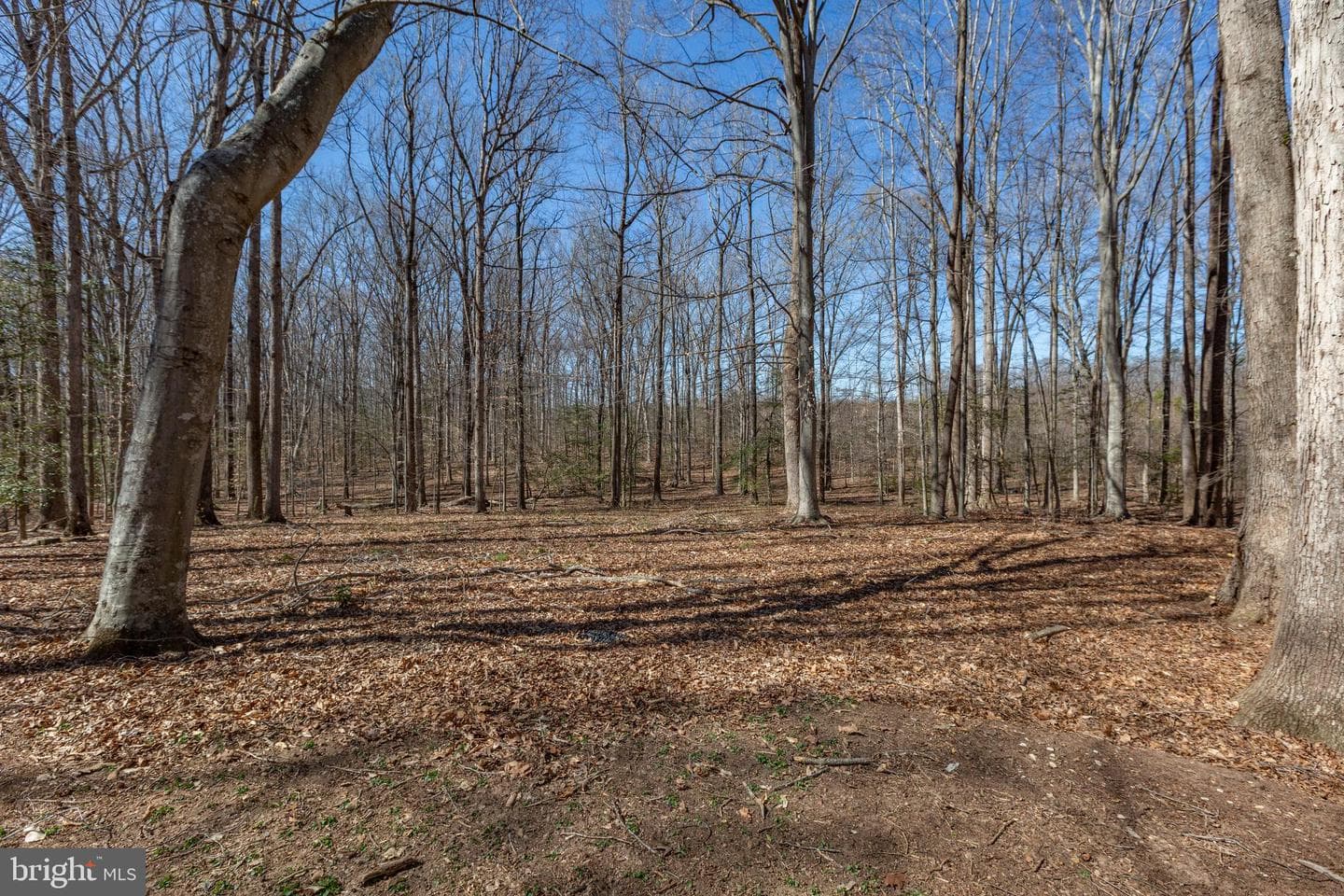 264 Holly Corner Road photo 43