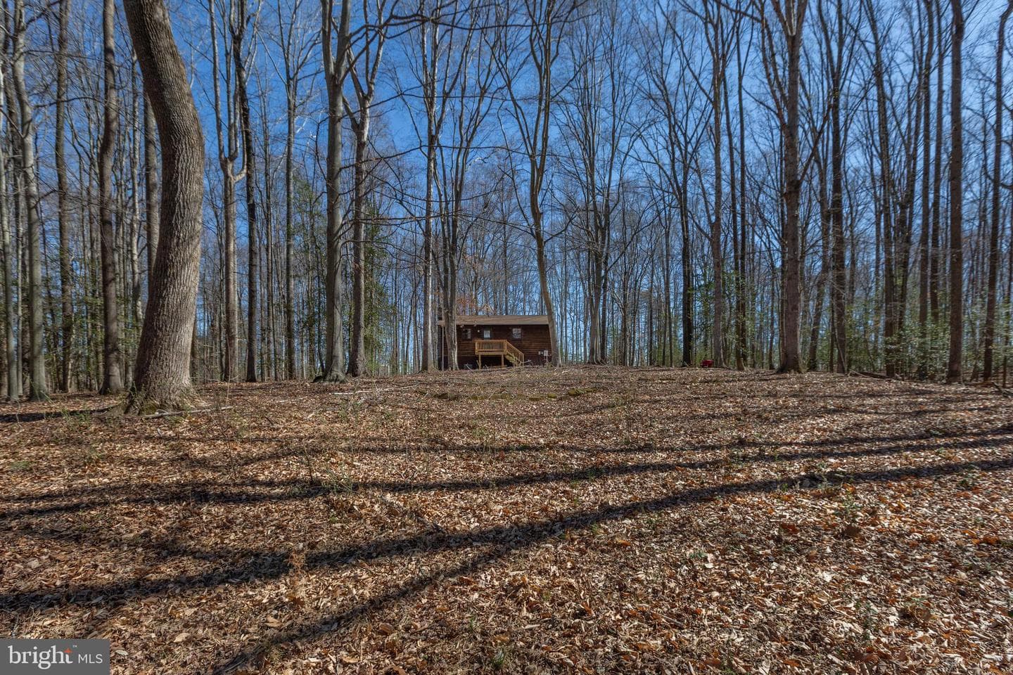 264 Holly Corner Road photo 45