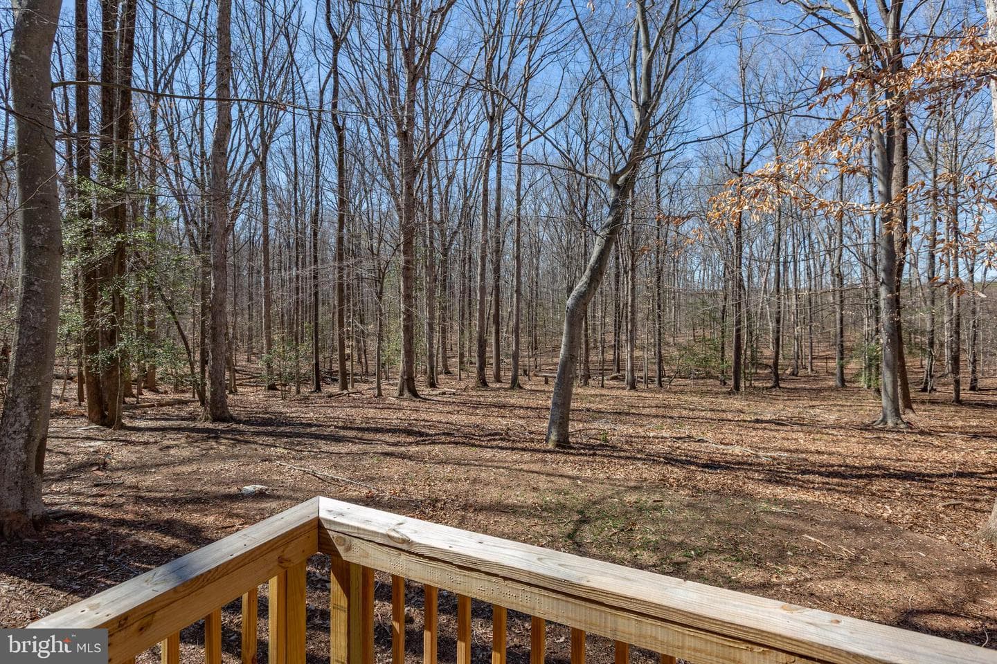264 Holly Corner Road photo 48
