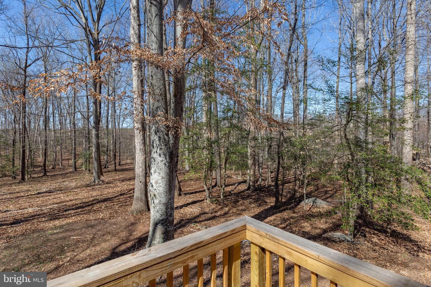 264 Holly Corner Road photo 49