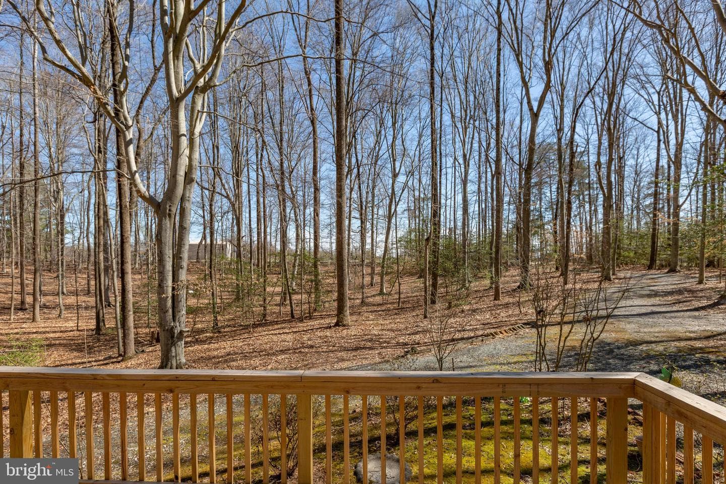 264 Holly Corner Road photo 51