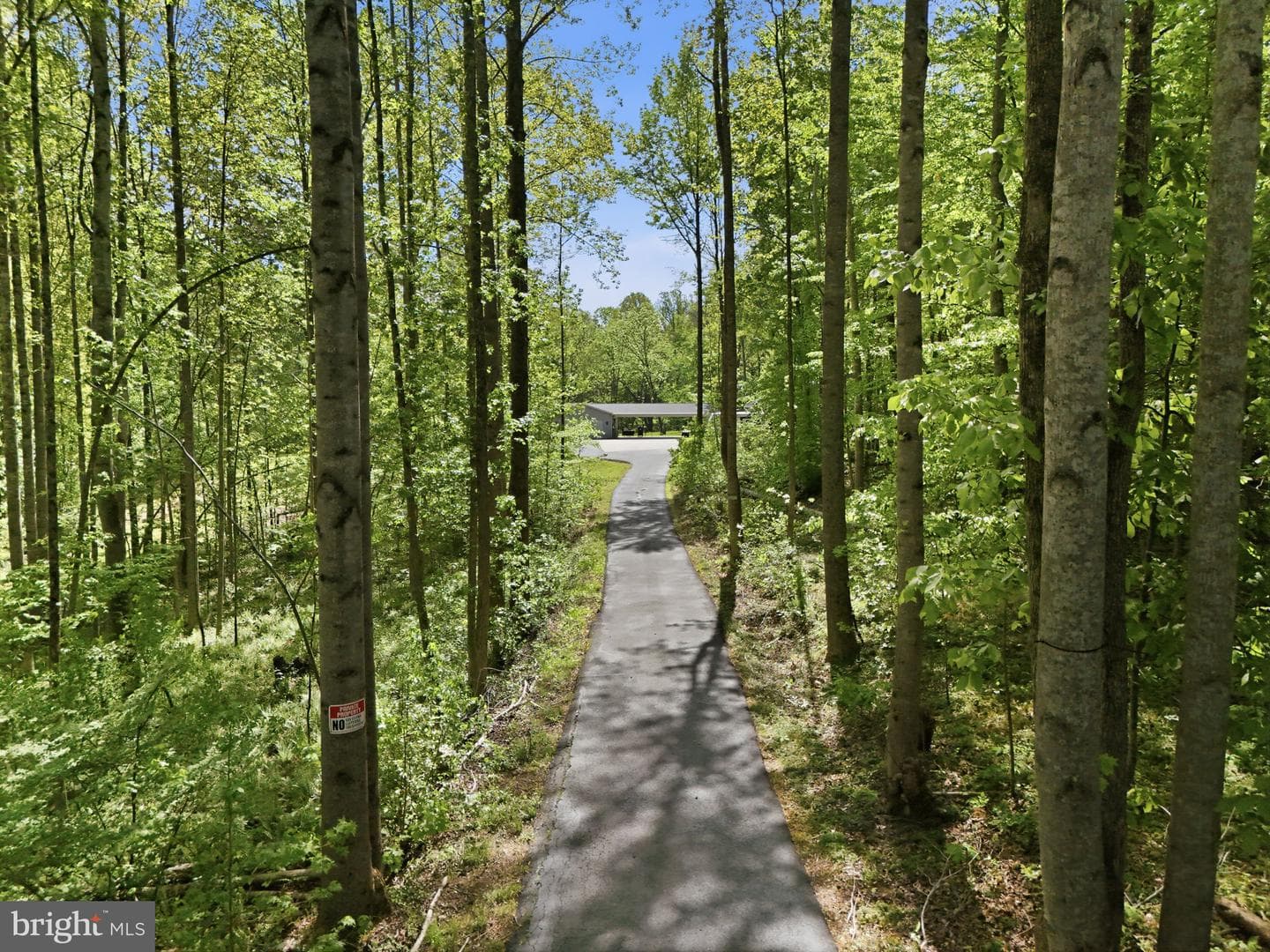 241 Cropp Road photo 5