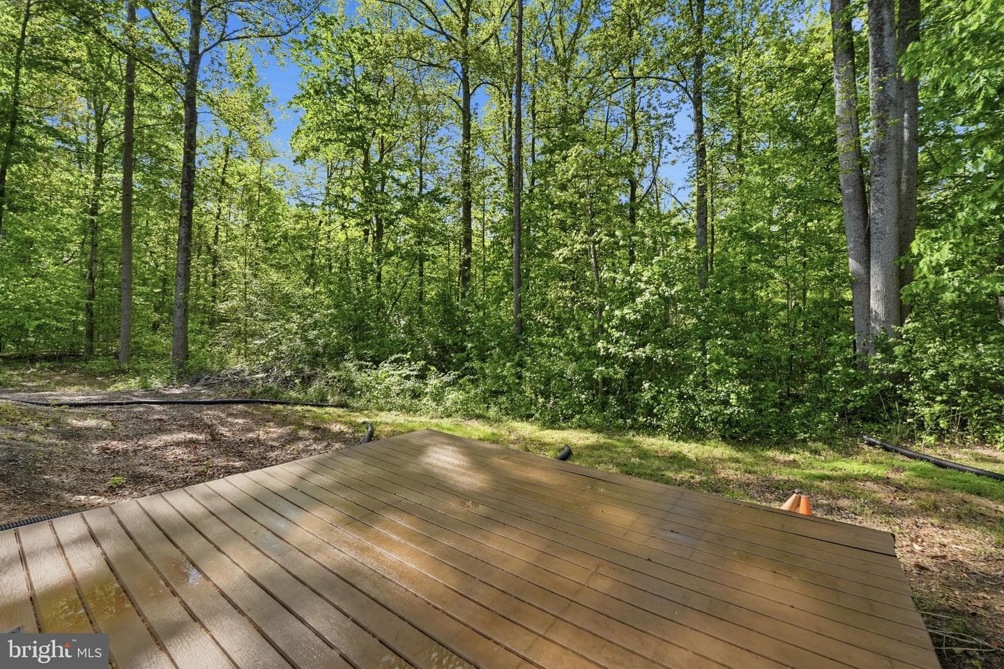 241 Cropp Road photo 54