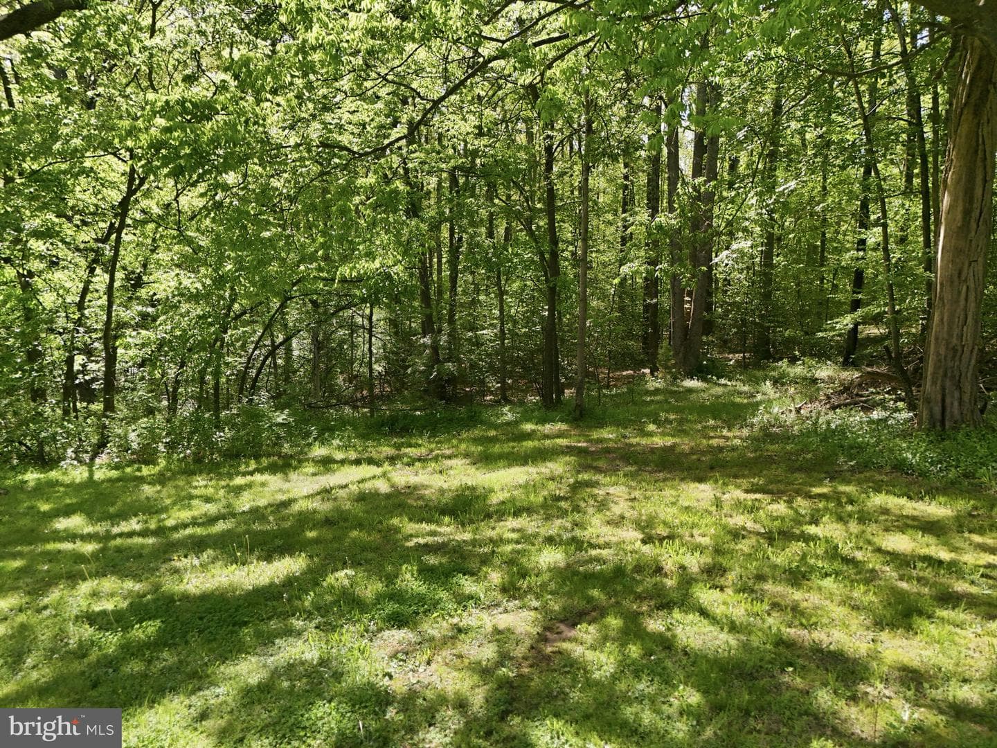 241 Cropp Road photo 57