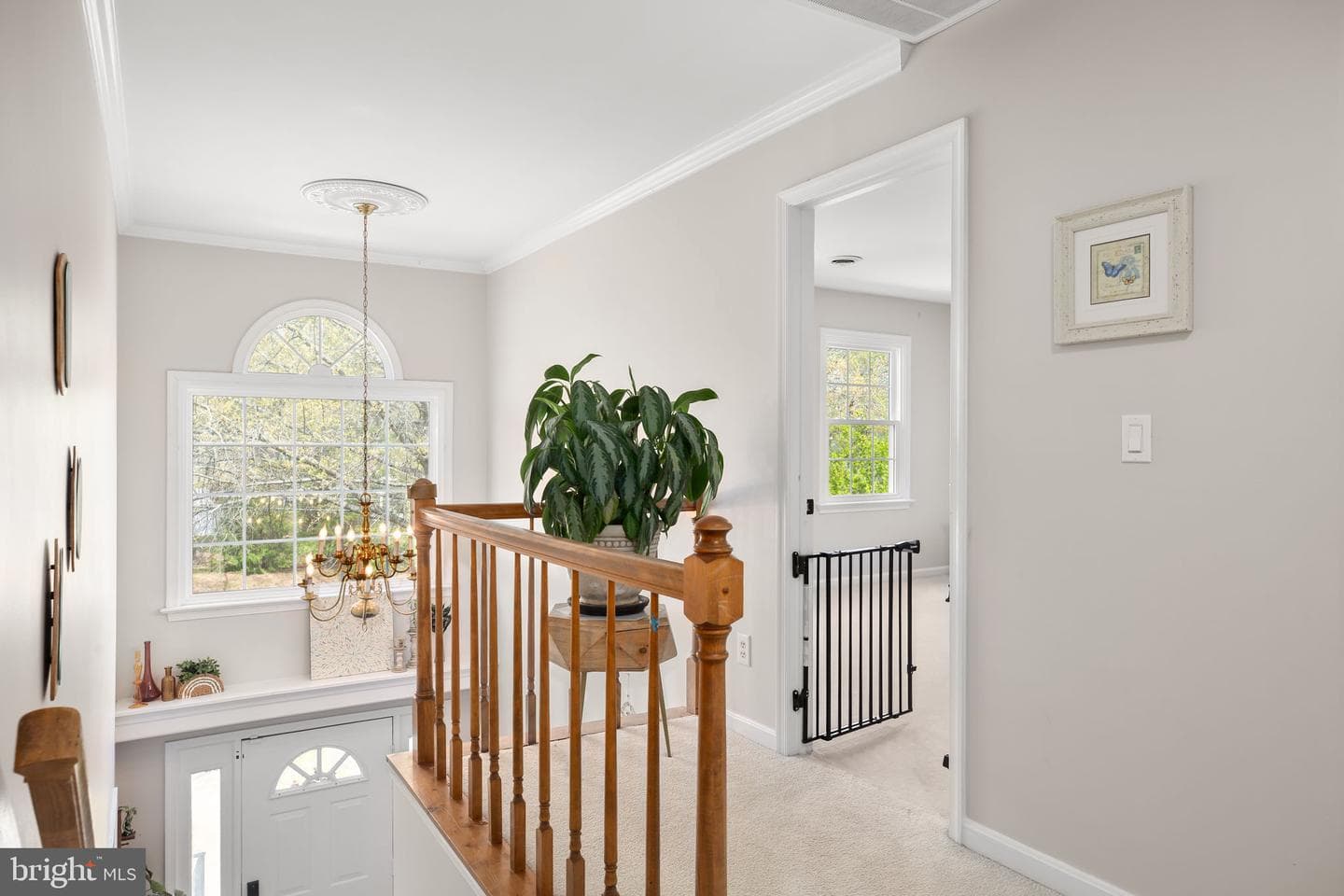 1111 Richmond Drive photo 39