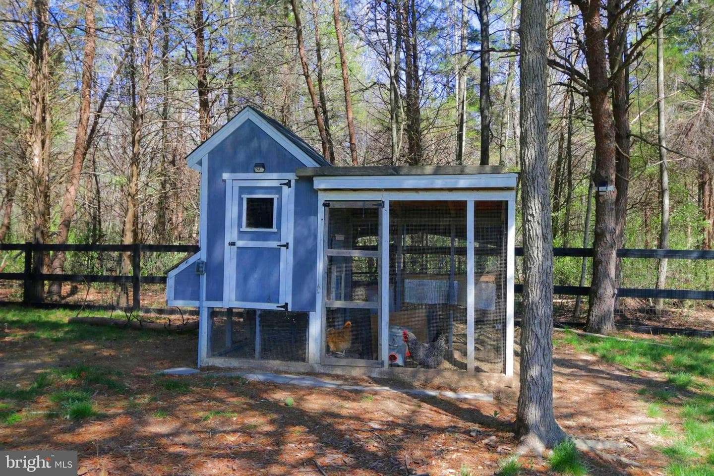 114 Bennington Way photo 78