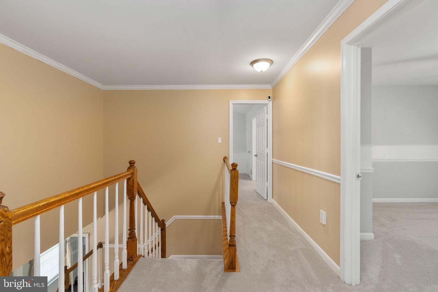 58 Blossom Wood Court photo 23