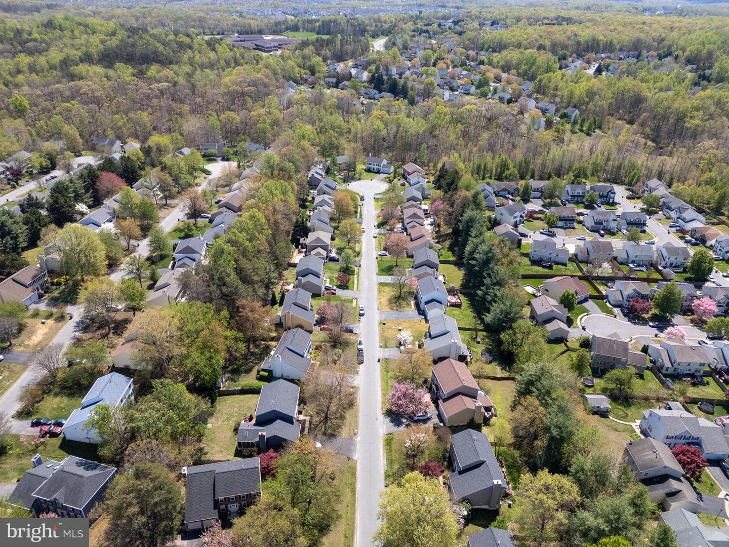58 Blossom Wood Court photo 53