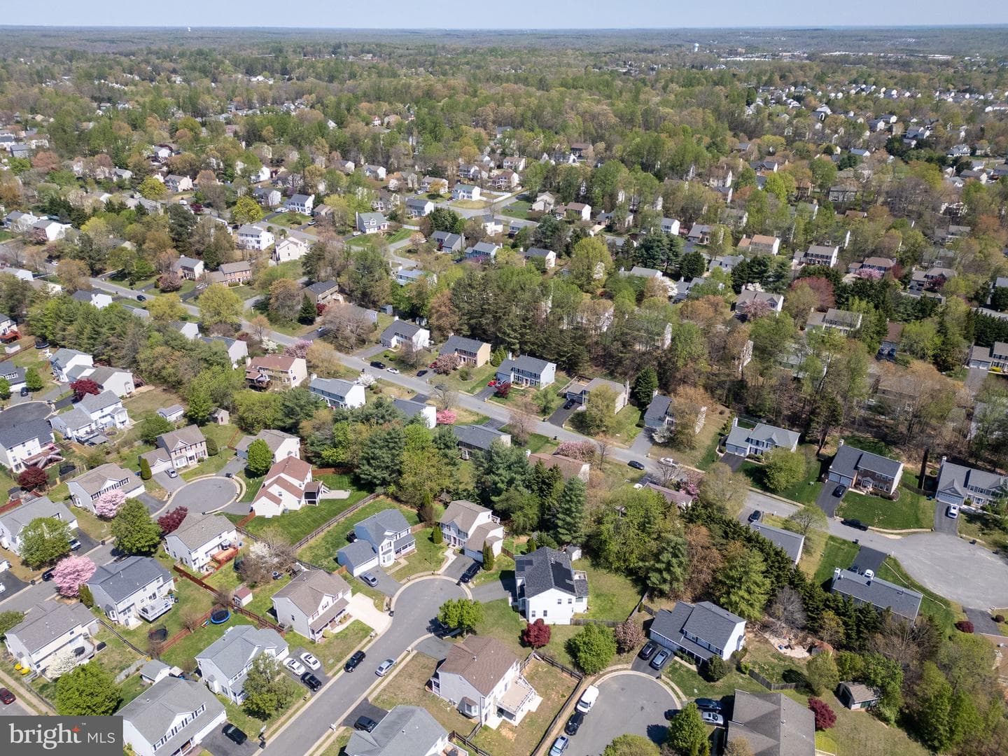 58 Blossom Wood Court photo 54